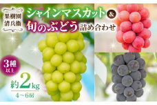 【果樹園清兵衛】シャインマスカットと旬のブドウの詰め合わせ2kg（4〜6房）｜巨峰、シナノスマイル、クイーンニーナなど　※2025年9月中旬から10月下旬順次発送
