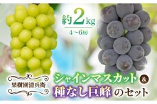 【果樹園清兵衛】シャインマスカットと種無し巨峰の詰め合わせ　約2kg（4~6房）