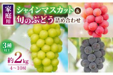 【果樹園清兵衛】ご家庭用シャインマスカットと旬のブドウの詰め合わせ2kg（4〜10房）｜種なし巨峰、シナノスマイル、クイーンニーナなど※2025年9月中旬から10月下旬順次発送
