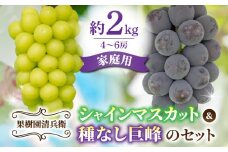 先行受付2025年発送【果樹園清兵衛】ご家庭用シャインマスカットと種無し巨峰の詰め合わせ　約2kg（4〜6房）※2025年9月中旬～10月上旬順次発送