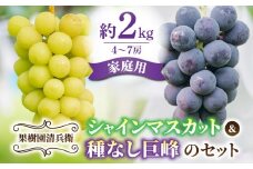 先行受付2025年発送【果樹園清兵衛】ご家庭用シャインマスカットと種無し巨峰の詰め合わせ　約2kg（4〜7房）※2025年9月中旬～10月上旬順次発送