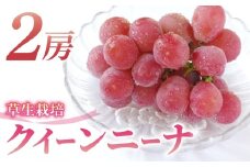 クイーンニーナ ご贈答品  大房2房