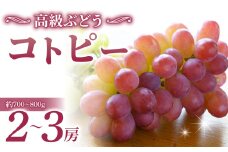 コトピー 2房 ご贈答品約700〜900g（2〜3房）｜ 甘くて美味しい高級ぶどう 希少種