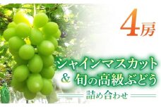 シャインマスカット＆高級ぶどう詰め合わせ ご贈答品 4房