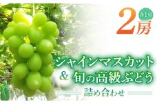 シャインマスカット＆高級ぶどう詰め合わせ ご贈答品 2房