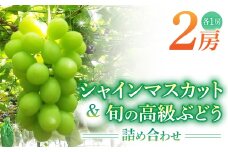 シャインマスカット＆高級ぶどう詰め合わせ ご贈答品 2房（月、火、金曜日発送限定。発送日、発送曜日指定不可）