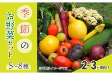 【アグロノーム】季節のお野菜セット（２〜３人様向け）