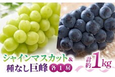 先行受付2025年発送【さとのみ果樹園】シャインマスカット＆種なし巨峰各1房（約1kg）※2025年9月中旬～9月末順次発送