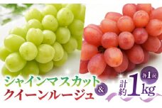 先行受付2025年発送【さとのみ果樹園】シャインマスカット＆クイーンルージュ各1房（計1kg以上）※2025年9月中旬～10月中旬順次発送