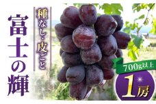 【数量限定！】東御市産富士の輝き　１房（700g以上）｜長野県 長野 人気 ぶどう 贈答用 ギフト １房 フルーツ 果物 おすすめ 厳選 種無し 皮ごと 希少品種
