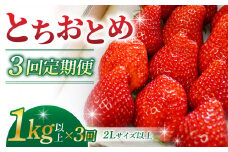 【３回定期便】東御市産いちご「とちおとめ」（１kg以上）