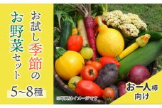 【アグロノーム】季節のお野菜セット（お一人様向け）｜５〜８種類の野菜詰め合わせ