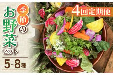 【4回定期便】季節のお野菜セット（2~3人様向け）｜アグロノーム
