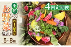 【4回定期便】お試し季節のお野菜セット（お一人様向け）｜アグロノーム