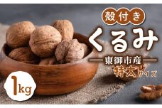 信濃くるみ 殻付き 1kg（大サイズ） 【長野県東御市産ブランド】NHKでも紹介♪ 令和6年産 新物 国産