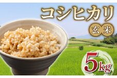 令和7年産 新米！有機肥料使用のコシヒカリ 玄米 5kg 一等米｜長野県東御市産　※2025年10月下旬以降順次発送