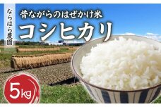 【ならはら農園】昔ながらのはぜかけ米コシヒカリ　白米５kg（令和7年産） ※2025年10月中旬以降発送予定