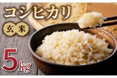 令和7年産新米！コシヒカリ玄米５kg　※2025年10月上旬以降順次発送