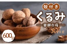 信濃くるみ 殻付き 600g（大サイズ） 【長野県東御市産ブランド】NHKでも紹介♪ 令和6年産 新物 国産