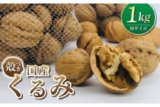【アルファーム】信濃くるみ　殻付きタイプ（Mサイズ）