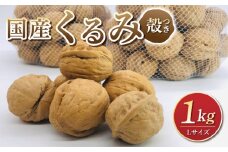 【アルファーム】信濃くるみ　殻付きタイプ（Lサイズ）