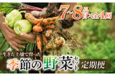先行予約【里山JAPAN】【4回定期便】生きた土壌で育った『季節の野菜セット』｜2025年7月以降発送予定