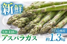 先行予約【小林菜園】農家直送！アスパラガス1.3㎏（L〜３Lサイズ）｜2025年3月末以降発送