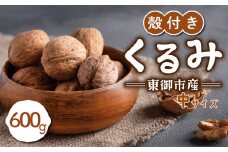 信濃くるみ 殻付き 600g（中サイズ） 【長野県東御市産ブランド】NHKでも紹介♪ 令和6年産 新物 国産