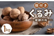 信濃くるみ 殻付き 1kg （中サイズ）【長野県東御市産ブランド】NHKでも紹介♪ 令和6年産 新物 国産