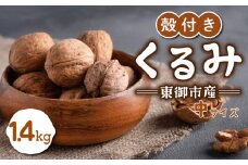 信濃くるみ 殻付き 1.4kg（中サイズ） 【長野県東御市産ブランド】NHKでも紹介♪ 令和6年産 新物 国産