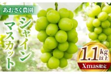 【Xmas限定！50セット限り】シャインマスカット2～3房（1.1kg以上）※12月21日、22日発送｜あおさく農園