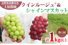先行受付2025年発送【土屋農園】農家直送！クイーンルージュ®︎とシャインマスカットのセット1kg以上（各1房）※2025年9月下旬～10月中旬順次発送