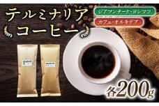 【豆のまま】産地違いコーヒー豆　2種類飲み比べ各200g｜テルミナリアコーヒー