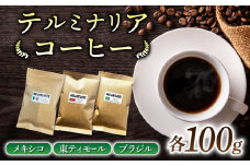 【粉に挽く】産地違いコーヒー豆　3種類飲み比べ （メキシコ/東ティモール/ブラジル）各100g｜テルミナリアコーヒー