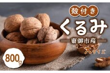 信濃くるみ 殻付き 800g（大サイズ） 【長野県東御市産ブランド】NHKでも紹介♪ 令和6年産 新物 国産