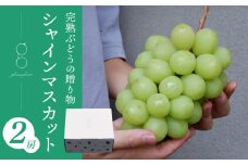 先行受付2025年発送【glasses farm】完熟ぶどうの贈り物（シャインマスカット2房）※2025年9月中旬〜10月末頃発送予定