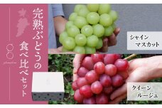 先行受付2025年発送【glasses farm】完熟ぶどうの贈り物（シャインマスカット×クイーンルージュ®︎各1房）※2025年9月中旬〜10月末頃発送予定