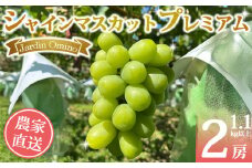 【先行受付2025年発送】シャインマスカット プレミアム 2房1.1kg以上｜Jardin Omino　※2025年9月初旬~10月中旬に発送予定