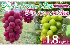 【先行受付2025年発送】シャインマスカット2房＆シナノスマイル 3房 　合計1.8kg以上｜Jardin Omino　※2025年9月初旬~10月中旬に発送予定