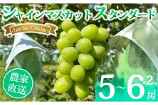 【先行受付2025年発送】シャインマスカット スタンダード 約2kg（5～6房）｜Jardin Omino　※2025年9月初旬~10月中旬に発送予定