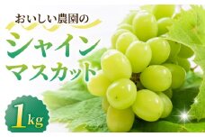 【先行受付2025年発送】シャインマスカット約1kg（2~3房）｜御牧原おいしい農園　※2025年10月初旬~10月下旬頃発送予定