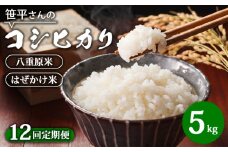 【定期便】【令和6年産】八重原産コシヒカリ 白米【5kg×全12回 合計60kg】｜笹平さんのお米 八重原米 はざかけ はぜかけ