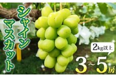 【先行受付2025年発送】長野県東御市産シャインマスカット2kg以上（3～5房）※2025年9月中旬~10月中旬頃発送予定
