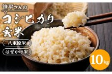 【令和6年産】八重原産コシヒカリ 玄米 10kg｜笹平さんのお米 八重原米 はざかけ はぜかけ