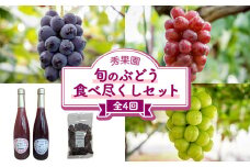 【先行受付2025年発送】旬のぶどう食べ尽くしセット4回頒布会（ナガノパープル、クイーンルージュ（R)、シャインマスカット）｜秀果園　※2025年9月以降発送予定