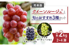 【先行受付2025年発送】クイーンルージュ（R)と旬のおすすめ3種セット（合計3~4房、約2kg）｜秀果園　※2025年9月中旬以降発送予定