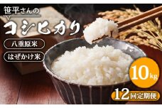 【定期便】【令和6年産】八重原産コシヒカリ 白米【10kg×全12回 合計120kg】｜笹平さんのお米 八重原米 はざかけ はぜかけ