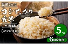 【定期便】【令和6年産】八重原産コシヒカリ 玄米【5kg×全6回 合計30kg】｜笹平さんのお米 八重原米 はざかけ はぜかけ