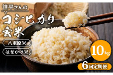 【定期便】【令和6年産】八重原産コシヒカリ 玄米【10kg×全6回 合計60kg】｜笹平さんのお米 八重原米 はざかけ はぜかけ