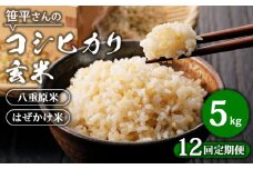 【定期便】【令和6年産】八重原産コシヒカリ 玄米【5kg×全12回 合計60kg】｜笹平さんのお米 八重原米 はざかけ はぜかけ